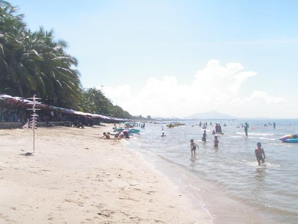PA230073.jpg